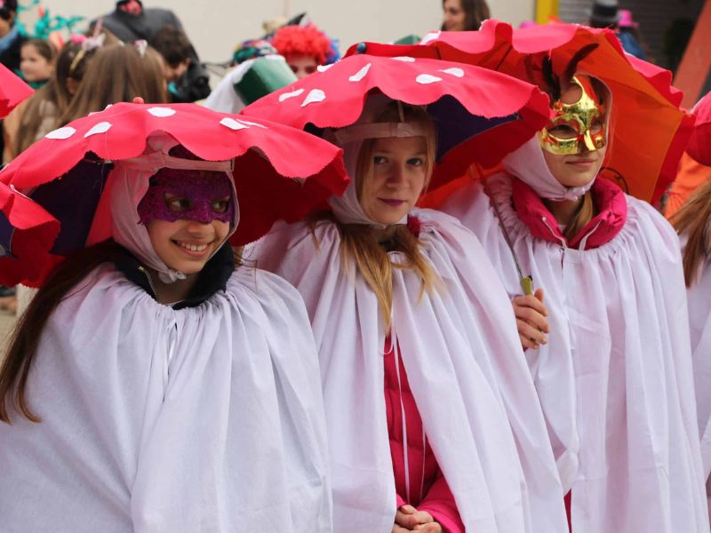 Festival Mačkare u Golubincima