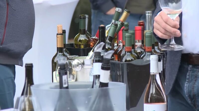 Fruška gora Wine Show koji se održava u Čortanovcima