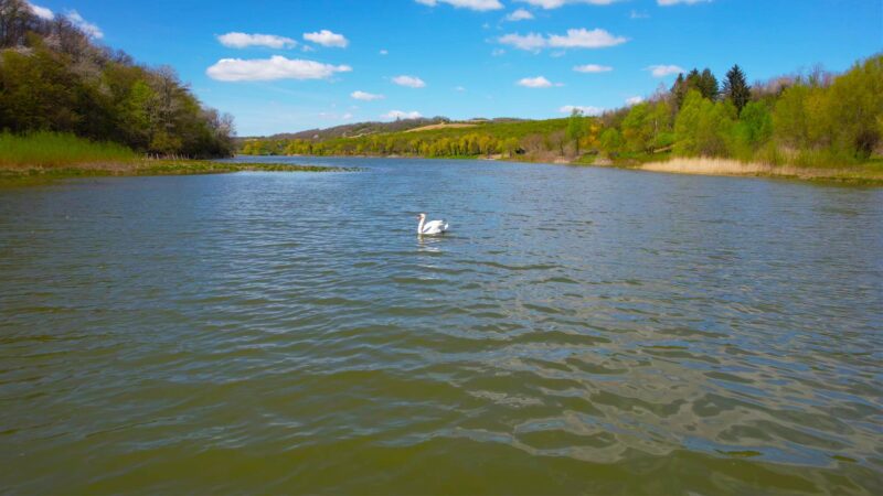 Sotsko-jezero