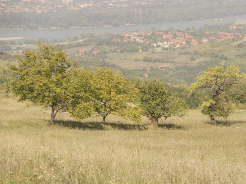 Vidikovac Kesten kod manastira Rakovac