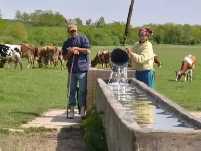 korišćenje bunara