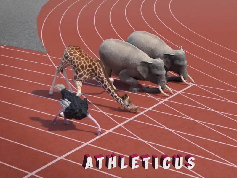 athleticus