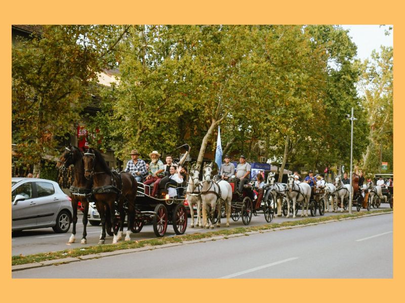 Fijakeri na ulici tokom Tamburica festa